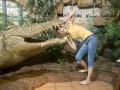 0126-1407 Reptile park (1264731)